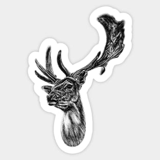 Fallow deer stag Sticker